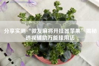 分享实测“微友麻将开挂器苹果	”揭秘透视辅助万能挂用法