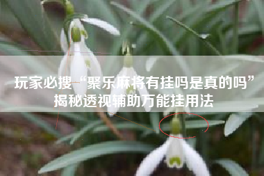 玩家必搜“聚乐麻将有挂吗是真的吗”揭秘透视辅助万能挂用法