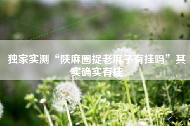 独家实测“陕麻圈捉老麻子有挂吗”其实确实有挂