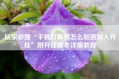 玩家必搜“手机打麻将怎么知道别人开挂”附开挂脚本详细教程