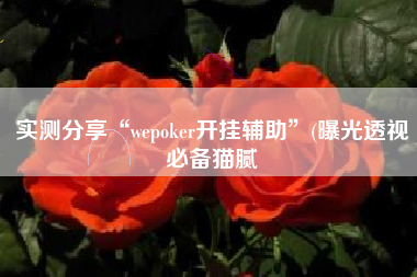 实测分享“wepoker开挂辅助”(曝光透视必备猫腻