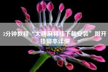 3分钟教程“大唐麻将挂下载安装”附开挂脚本详细