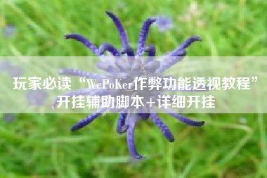 玩家必读“WePoKer作弊功能透视教程”开挂辅助脚本+详细开挂
