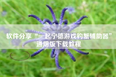 软件分享“一起宁德游戏钓蟹辅助器”通用版下载教程