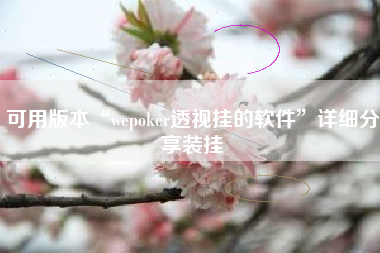 可用版本“wepoker透视挂的软件”详细分享装挂