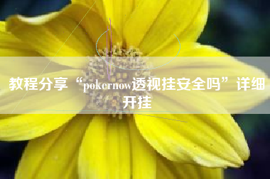 教程分享“pokernow透视挂安全吗”详细开挂