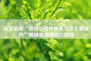 玩家必读“微信小程序微乐斗地主有挂吗”揭秘透视辅助万能挂