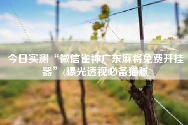 今日实测“微信雀神广东麻将免费开挂器”(曝光透视必备猫腻