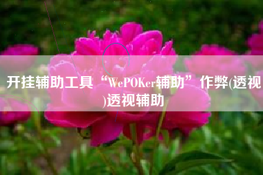开挂辅助工具“WePOKer辅助”作弊(透视)透视辅助