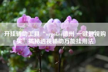 开挂辅助工具“wepoker德州 一键透视购买”揭秘透视辅助万能挂用法