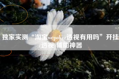 独家实测“淘宝wepoker透视有用吗”开挂(透视)辅助神器