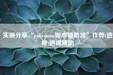 实测分享“pokemmo脚本辅助器”作弊(透视)透视辅助