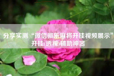 分享实测“微信微乐麻将开挂视频展示”开挂(透视)辅助神器