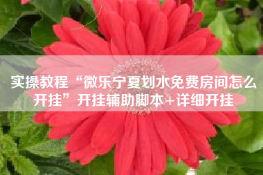 实操教程“微乐宁夏划水免费房间怎么开挂”开挂辅助脚本+详细开挂