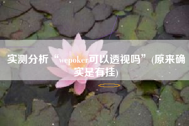 实测分析“wepoker可以透视吗”(原来确实是有挂)