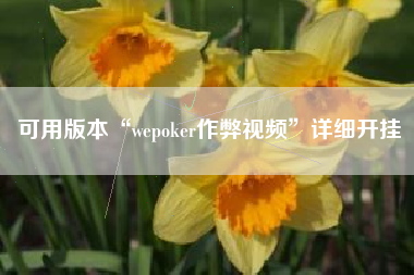 可用版本“wepoker作弊视频”详细开挂