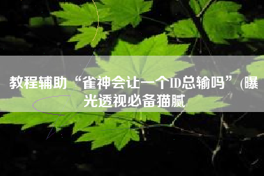 教程辅助“雀神会让一个ID总输吗”(曝光透视必备猫腻