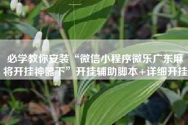 必学教你安装“微信小程序微乐广东麻将开挂神器下”开挂辅助脚本+详细开挂