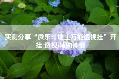 实测分享“微乐斗地主万能透视挂”开挂(透视)辅助神器
