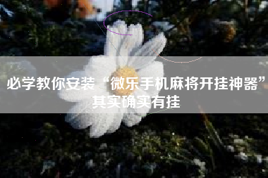 必学教你安装“微乐手机麻将开挂神器”其实确实有挂