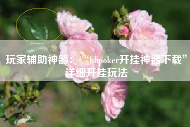 玩家辅助神器：“hhpoker开挂神器下载”详细开挂玩法