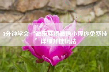 3分钟学会“微乐麻将微信小程序免费挂	”详细开挂玩法