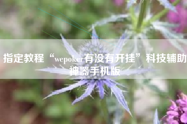 指定教程“wepoker有没有开挂	”科技辅助神器手机版