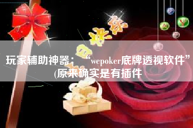玩家辅助神器：“wepoker底牌透视软件”(原来确实是有插件