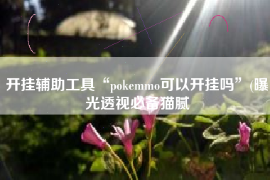 开挂辅助工具“pokemmo可以开挂吗”(曝光透视必备猫腻