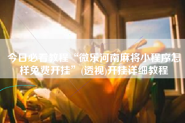 今日必看教程“微乐河南麻将小程序怎样免费开挂”(透视)开挂详细教程