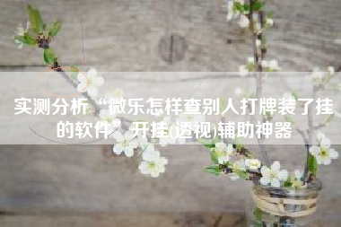 实测分析“微乐怎样查别人打牌装了挂的软件”开挂(透视)辅助神器