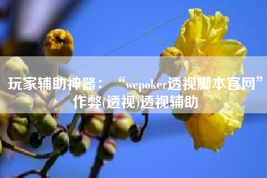 玩家辅助神器：“wepoker透视脚本官网”作弊(透视)透视辅助