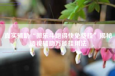 真实辅助“微乐斗跑得快免费挂”揭秘透视辅助万能挂用法