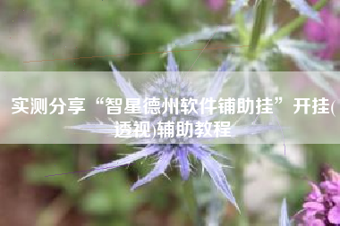 实测分享“智星德州软件铺助挂”开挂(透视)辅助教程