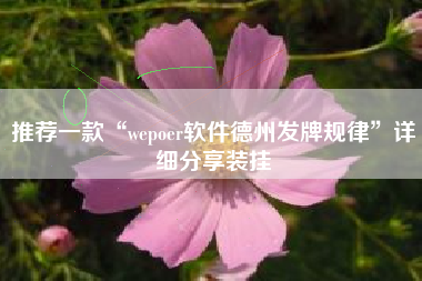 推荐一款“wepoer软件德州发牌规律”详细分享装挂
