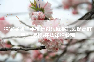 独家实测“手机玩微乐麻将怎么提高胜率”(透视)开挂详细教程