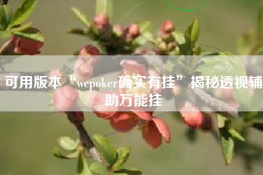 可用版本“wepoker确实有挂”揭秘透视辅助万能挂
