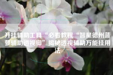 开挂辅助工具“必看教程“智星德州菠萝辅助透视脚	”揭秘透视辅助万能挂用法