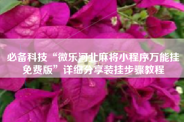 必备科技“微乐河北麻将小程序万能挂免费版”详细分享装挂步骤教程