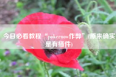 今日必看教程“pokernow作弊”(原来确实是有插件)