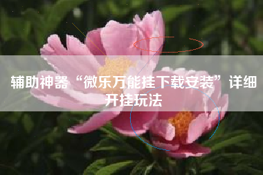 辅助神器“微乐万能挂下载安装	”详细开挂玩法