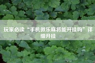 玩家必读“手机微乐麻将能开挂吗”详细开挂