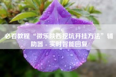 必看教程“微乐陕西挖坑开挂方法”辅助器 - 实时智能回复