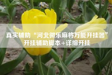 真实辅助“河北微乐麻将万能开挂器”开挂辅助脚本+详细开挂