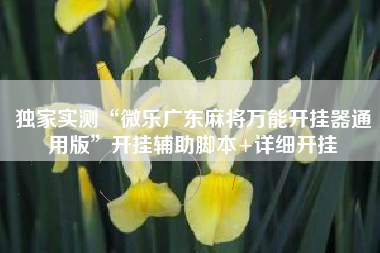 独家实测“微乐广东麻将万能开挂器通用版”开挂辅助脚本+详细开挂