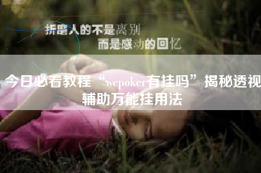 今日必看教程“wepoker有挂吗”揭秘透视辅助万能挂用法