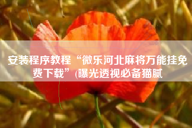 安装程序教程“微乐河北麻将万能挂免费下载”(曝光透视必备猫腻