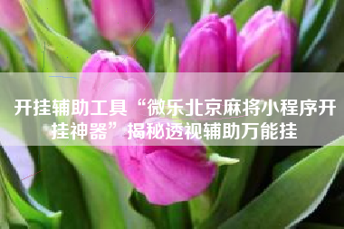 开挂辅助工具“微乐北京麻将小程序开挂神器”揭秘透视辅助万能挂