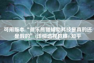 可用版本“微乐熊猫辅助科技是真的还是假的”(详细透视教程)-知乎
