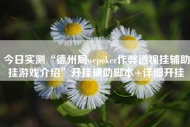 今日实测“德州局wepoker作弊透视挂辅助挂游戏介绍”开挂辅助脚本+详细开挂